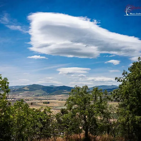 Maison Della Madonnina